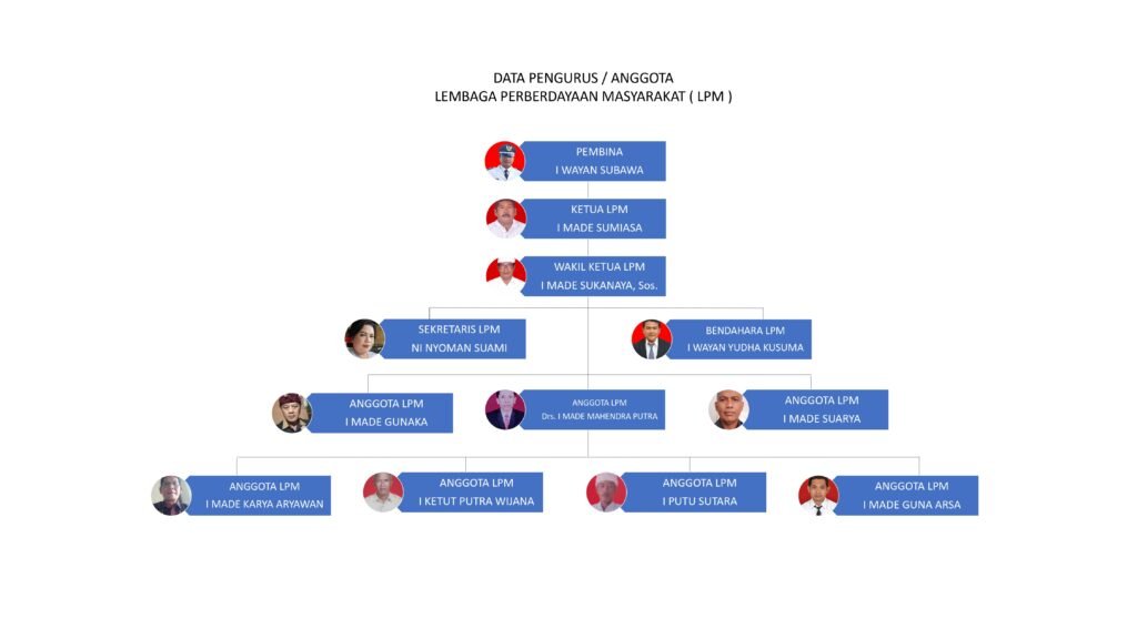 Struktur Organisasi LPM